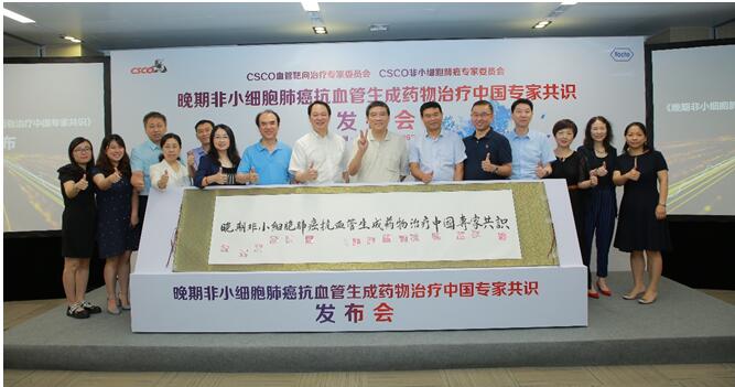 《晚期非小細(xì)胞肺癌抗血管生成藥物治療中國專家共識（2019版）》發(fā)布儀式