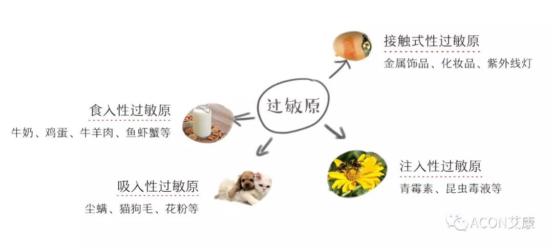 APAAACI 2019 | 深入解讀過敏原：從診斷到治療，優(yōu)化過敏原診斷管理——艾康生物過敏原檢測分會