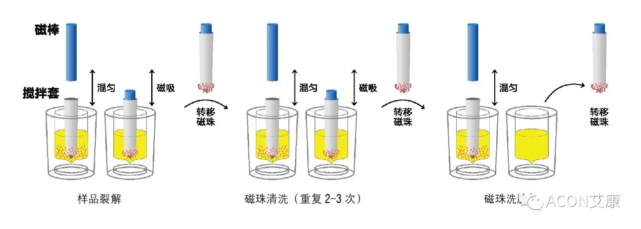 Promotor?核酸提純儀， 讓基因提純更便捷。