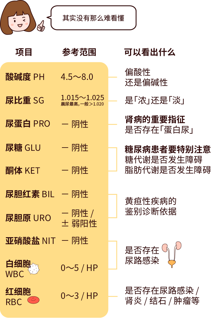 排尿黃、異味大，可能是身體在報(bào)警！