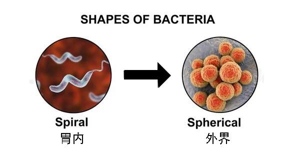 這種致癌物傳染性極強，50%中國人都有！很多人還不知道
